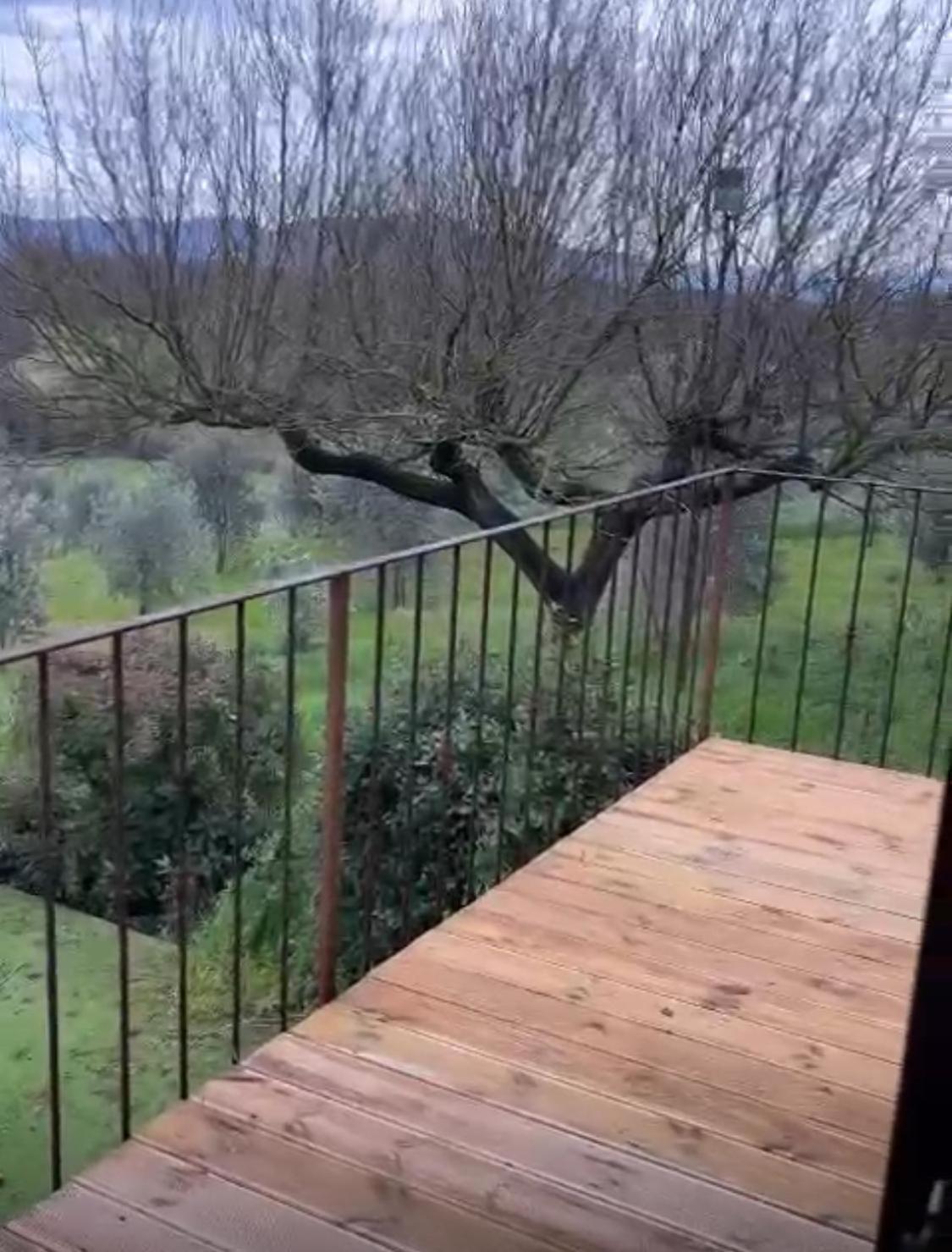 Farm stay La Fortezza Alta Avigliano Umbro