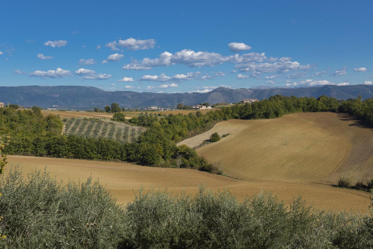 Farm stay La Fortezza Alta *